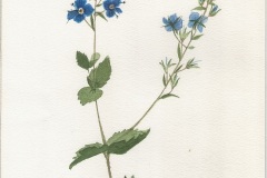 Ereprijs
